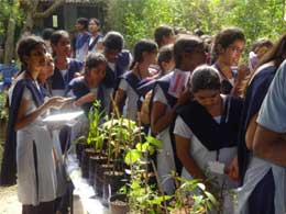 B.Pharmacy students visited Medicinal plant Exibition 