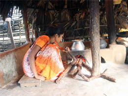  Energy Efficient Wood Stove  